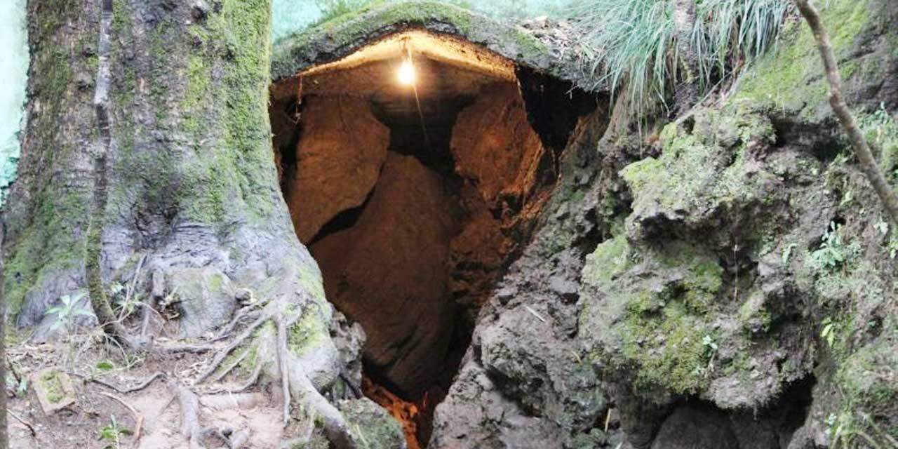 Eco Cave Garden